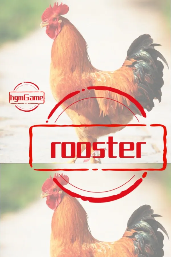 Copertina di hgmGame-rooster