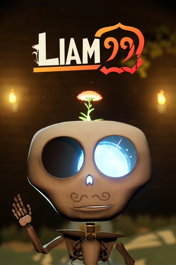Copertina di Liam_99