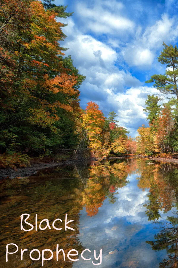 Copertina di Black Prophecy