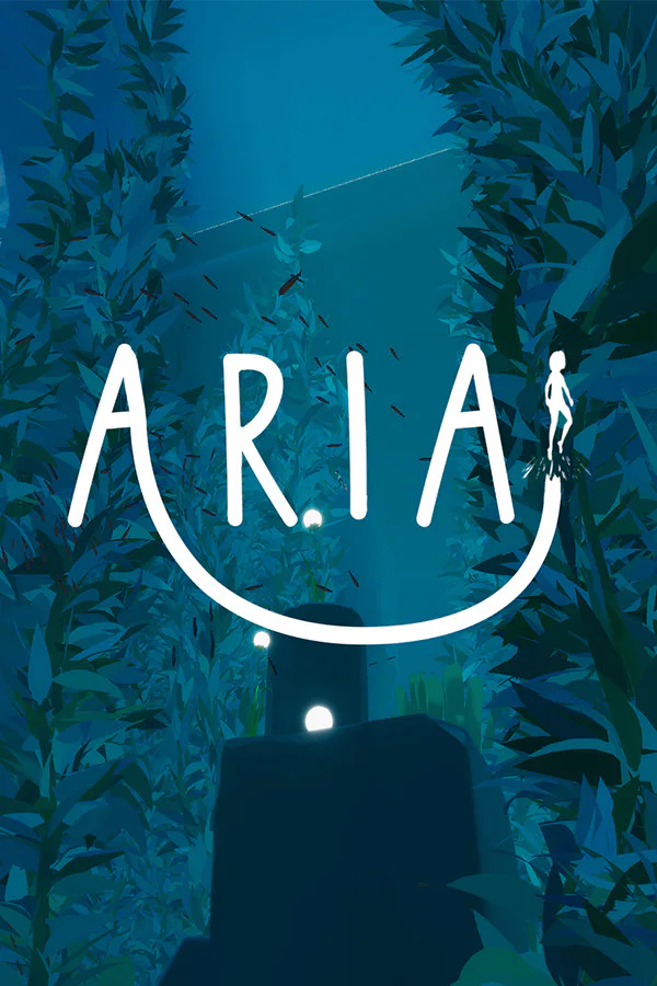 Copertina di Aria