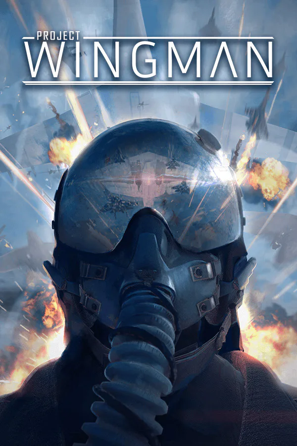 Copertina di Project Wingman