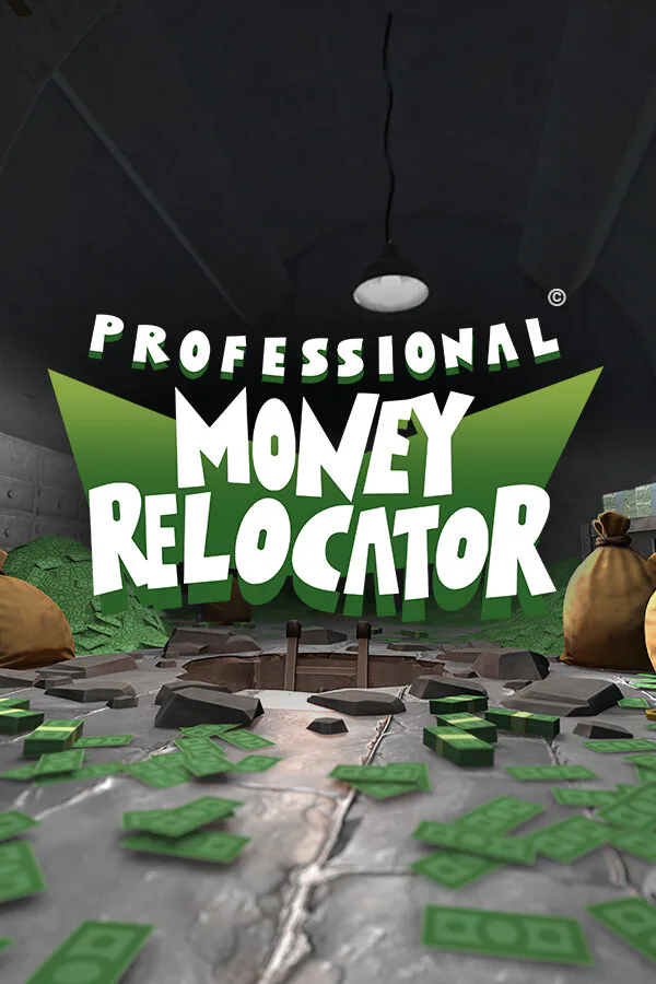 Copertina di Professional Money Relocator