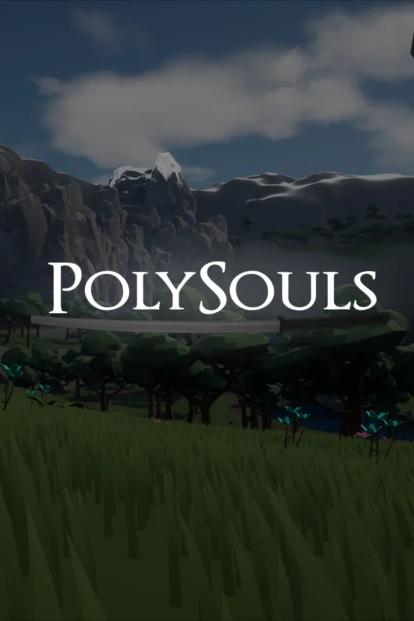 Copertina di PolySouls