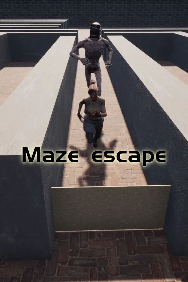 Copertina di 迷宫逃亡 Maze escape