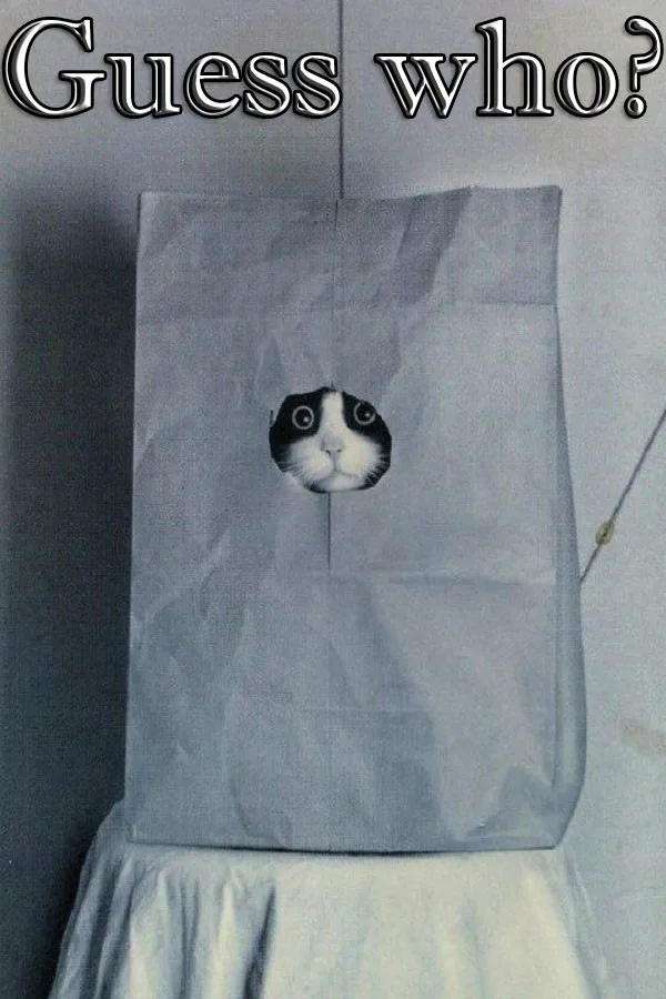 Copertina di Guess who ?