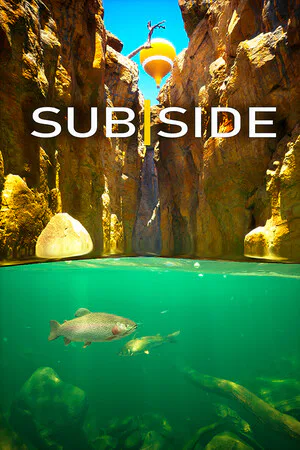 Copertina di Subside