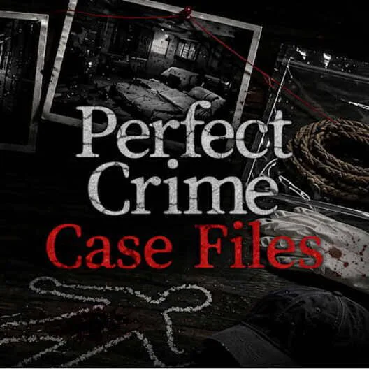 Copertina di Perfect Crime Case Files