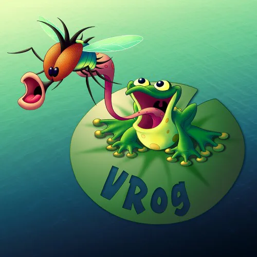 Copertina di VRog
