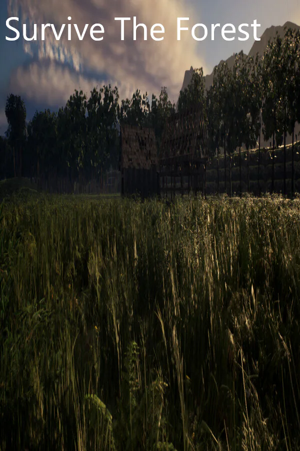 Copertina di Survive The Forest