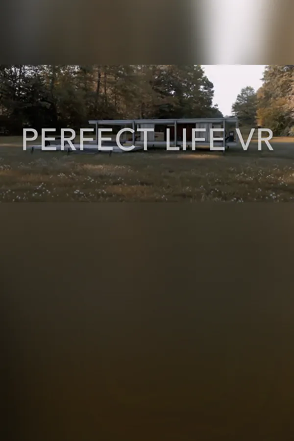 Copertina di Perfect Life VR