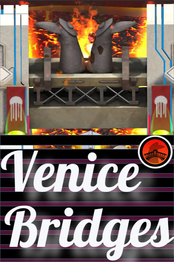 Copertina di Venice Bridges