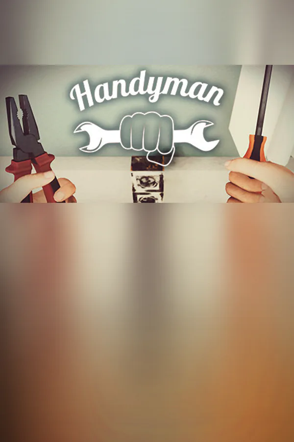 Copertina di Handyman