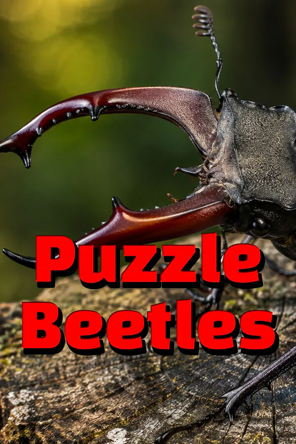 Copertina di Puzzle Beetles