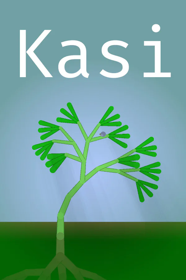 Copertina di Kasi