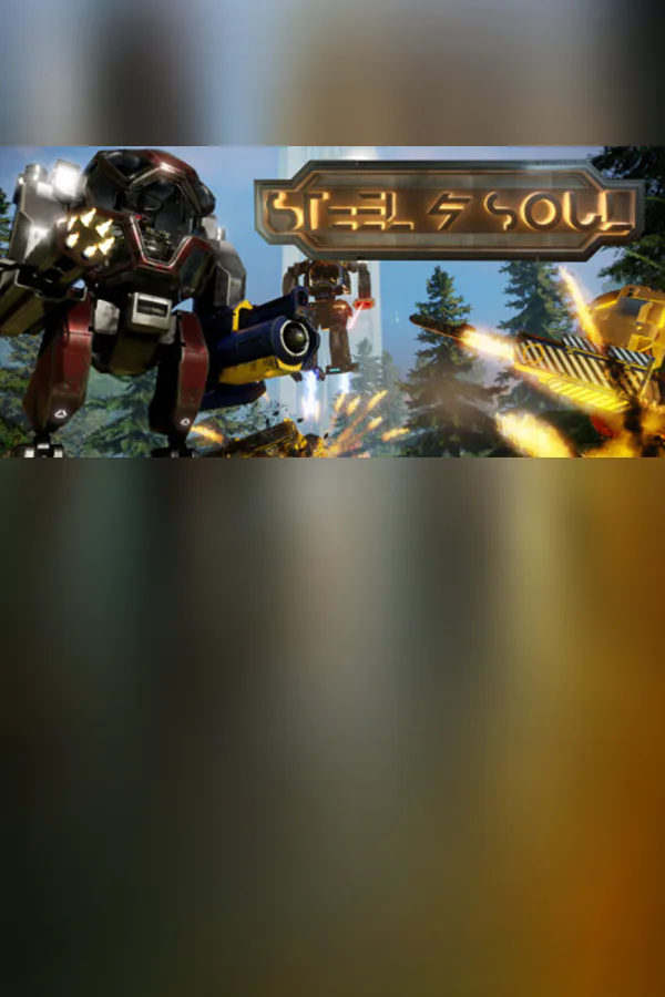 Copertina di Steel And Soul
