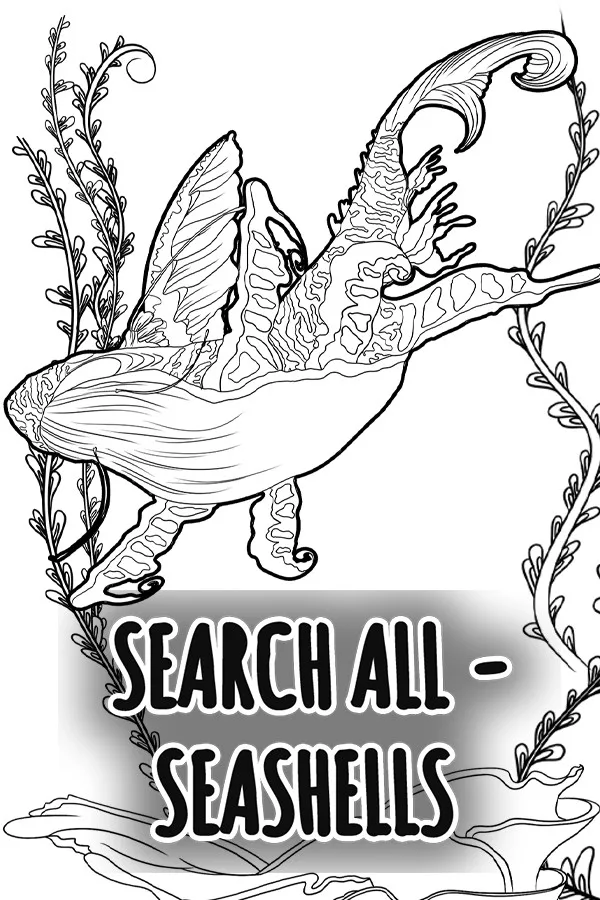 Copertina di SEARCH ALL - SEASHELLS
