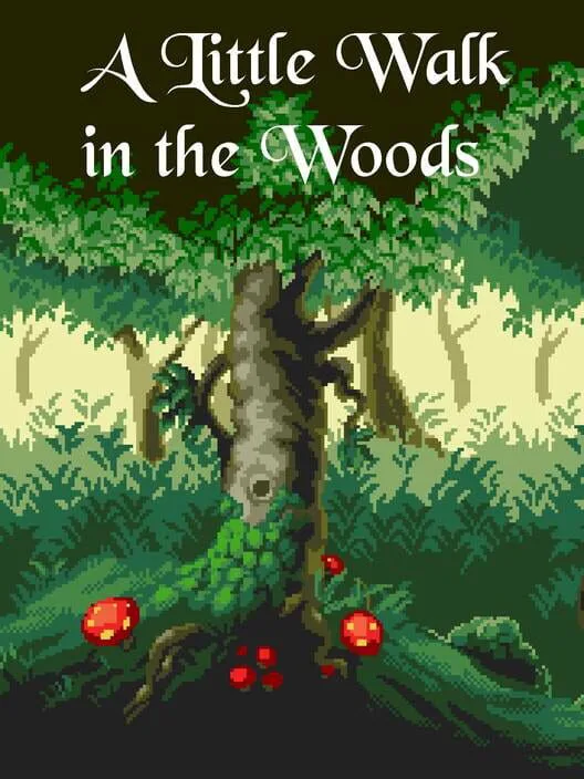 Copertina di A Little Walk in the Woods