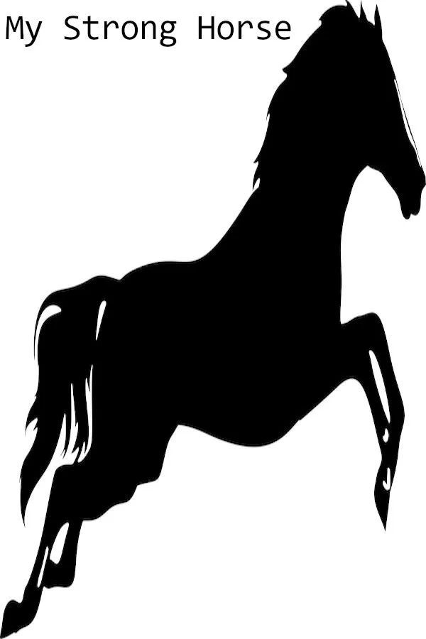 Copertina di My Strong Horse