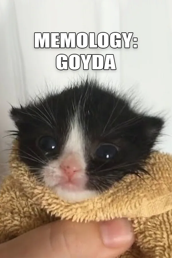 Copertina di MEMOLOGY: GOYDA
