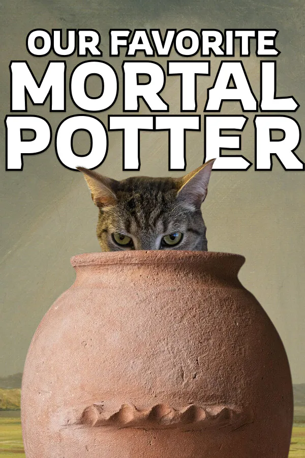Copertina di Our Favorite Mortal Potter