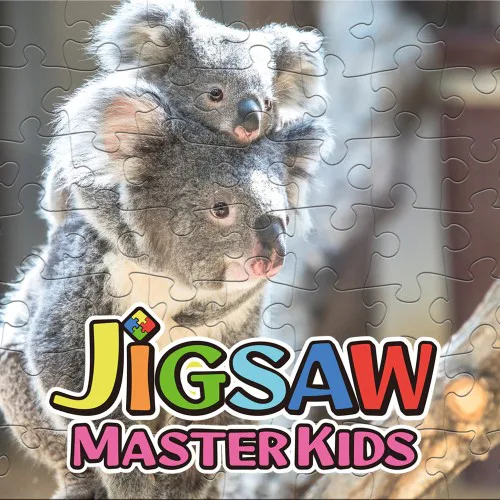 Copertina di JIGSAW MASTER KIDS