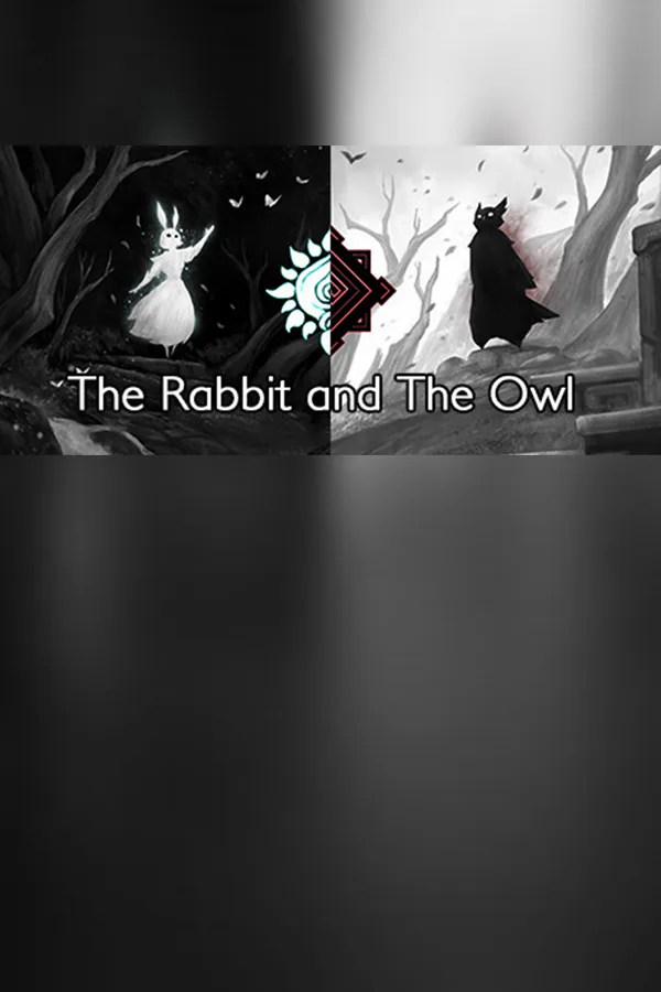 Copertina di The Rabbit and The Owl