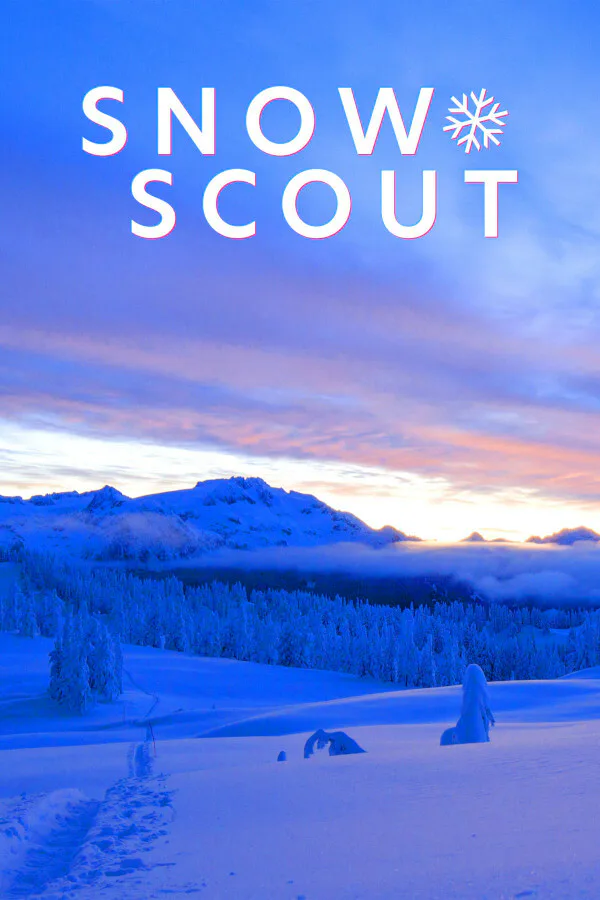 Copertina di Snow Scout