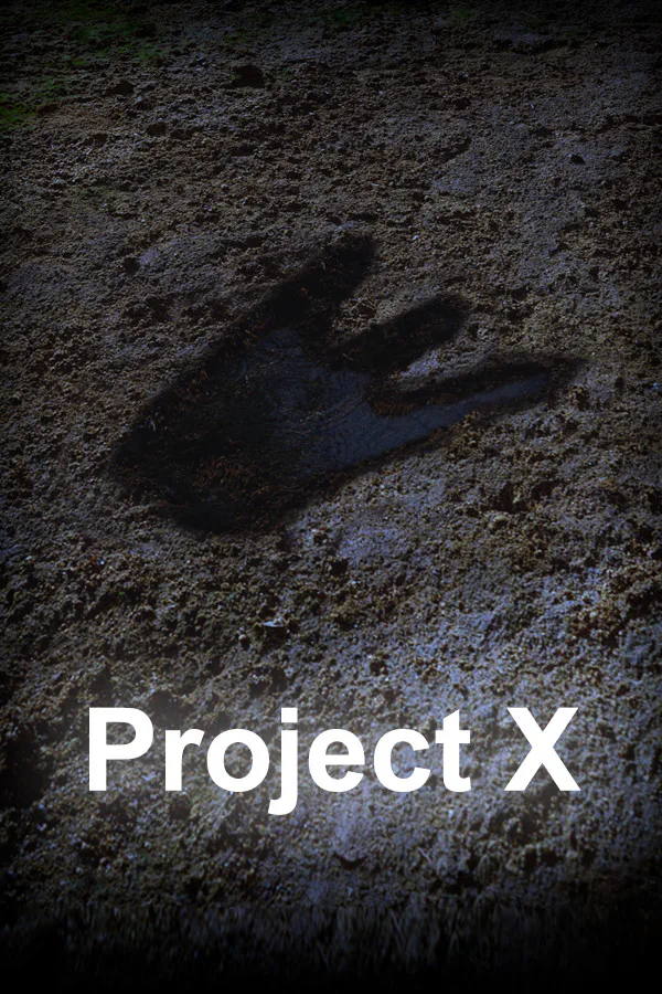 Copertina di Project X