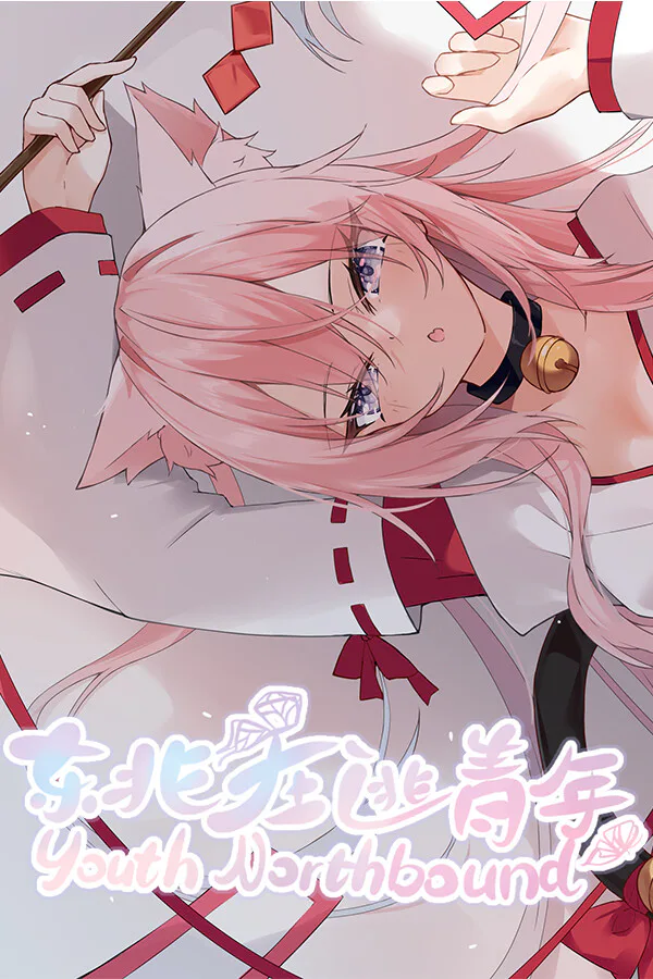 Copertina di 东北在逃青年