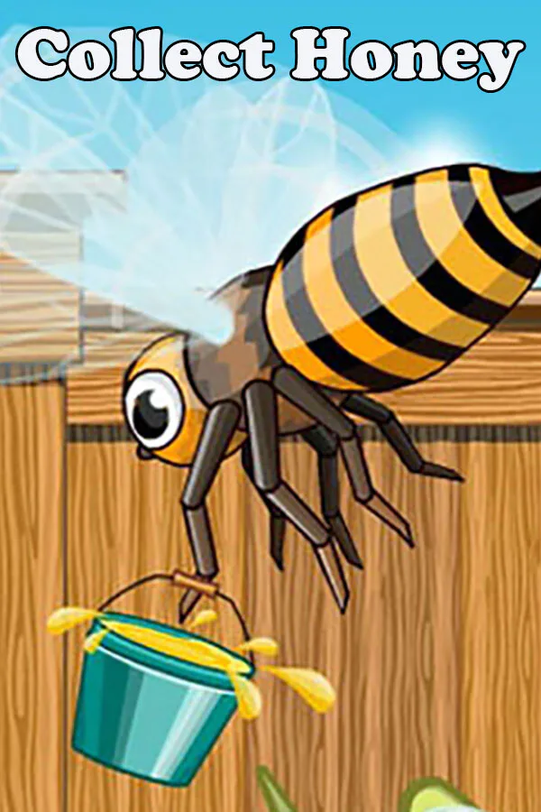 Copertina di Collect Honey