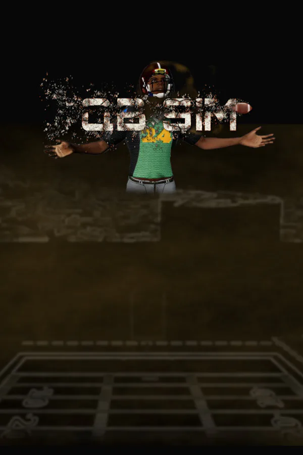 Copertina di QB Sim