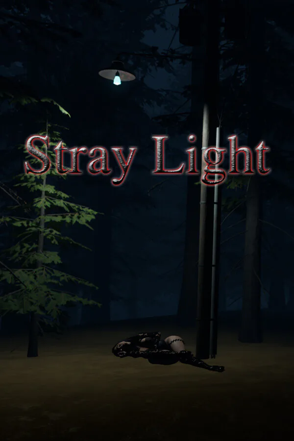 Copertina di Stray Light