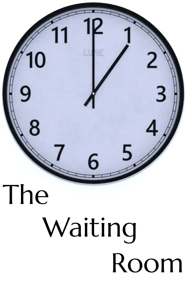 Copertina di The Waiting Room