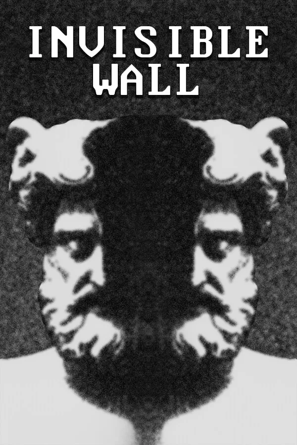 Copertina di Invisible Wall