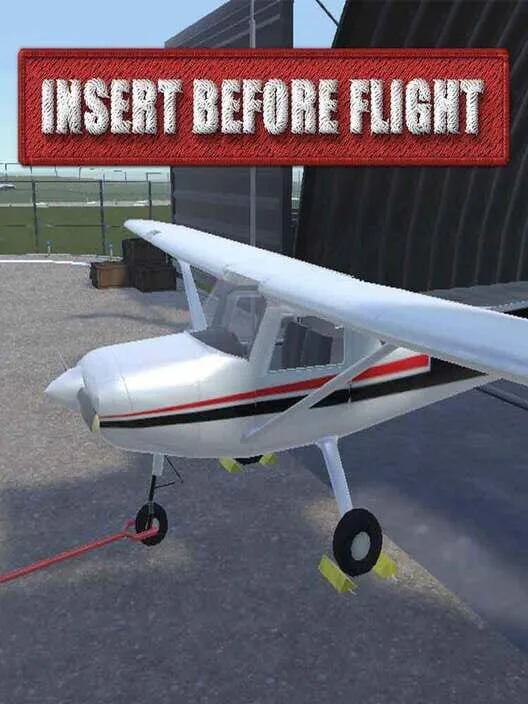 Copertina di Insert before flight
