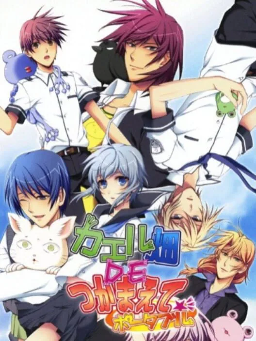 Copertina di Kaeru Batake DE Tsukamaete Portable