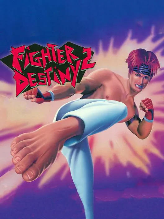 Copertina di Fighter Destiny 2
