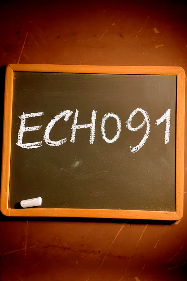 Copertina di Echo 91