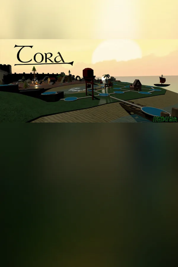 Copertina di Tora