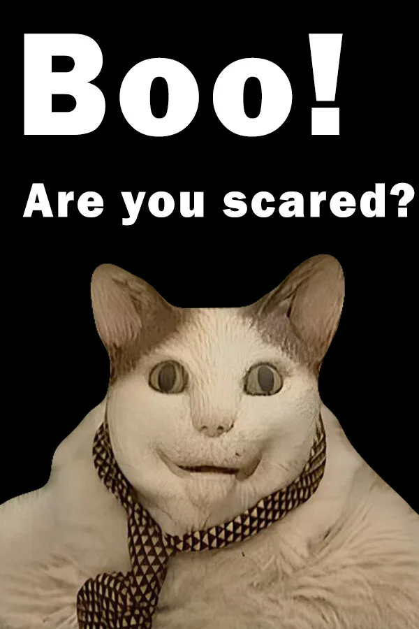 Copertina di BOO! ARE YOU SCARED?