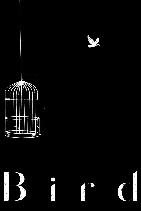 Copertina di Bird