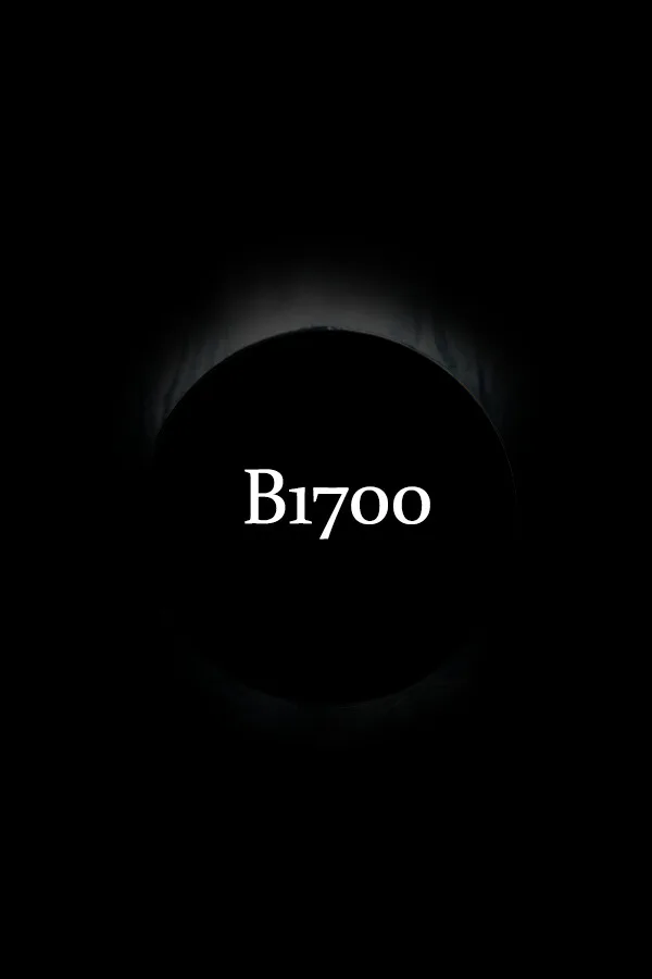 Copertina di B1700