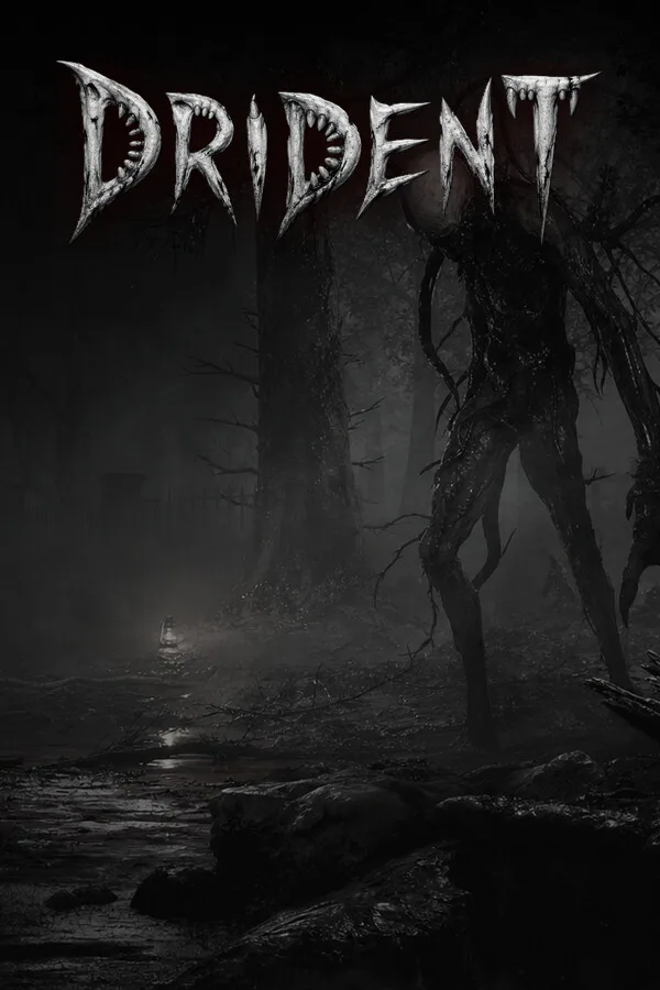 Copertina di Drident