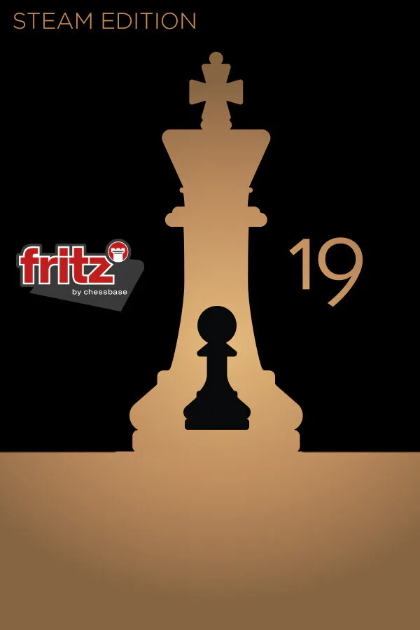 Copertina di Fritz 19 SE