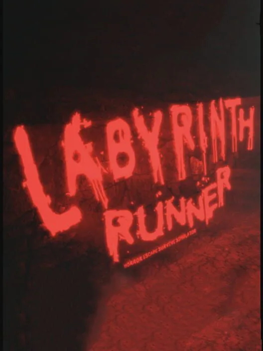 Copertina di Labyrinth Runner