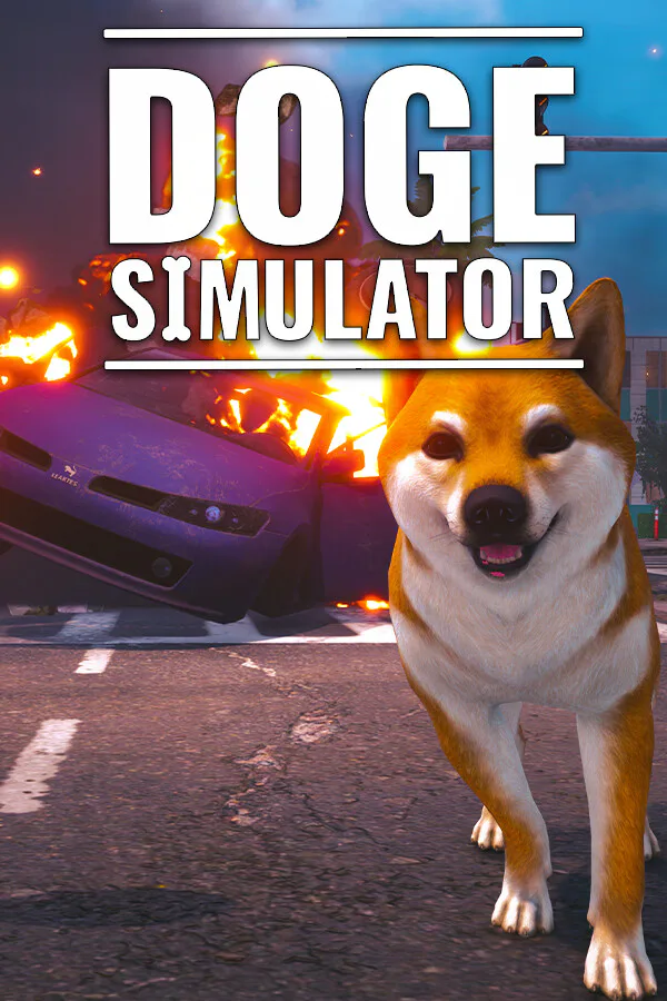 Copertina di Doge Simulator