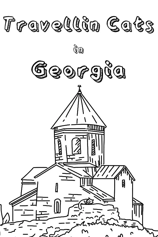 Copertina di Travellin Cats in Georgia