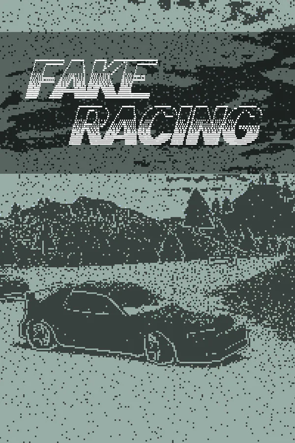 Copertina di Fake Racing