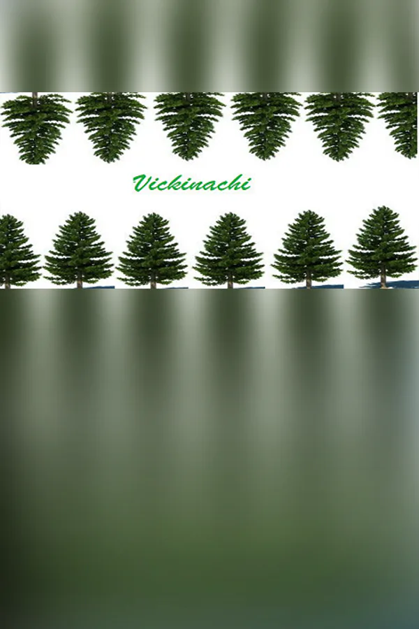 Copertina di Vickinachi