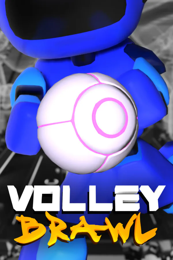 Copertina di VolleyBrawl